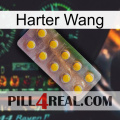 Hard Wang new11